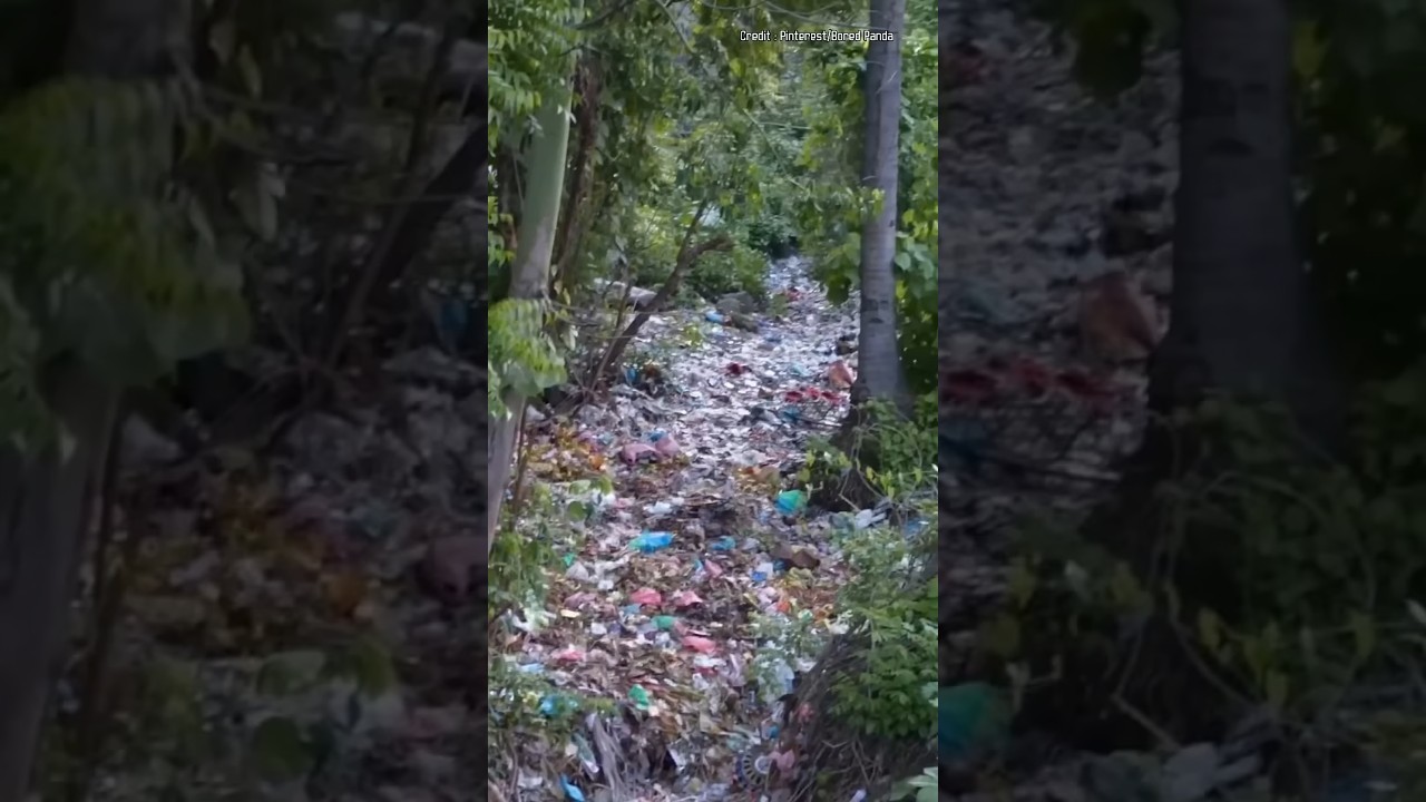 One small act of kindness🌍🌐