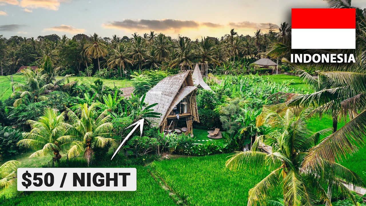 Sleeping in Bali's Best Bamboo Villa! (overlooking ricefields
