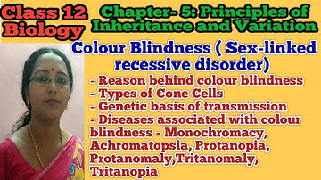 Colour blindness | Principles of Inheritance and Variation | Class 12 Biology | NEET Biology