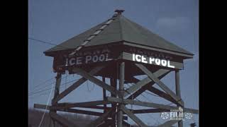 Nenana Ice Classic, 1968