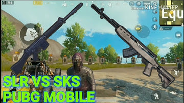 SKS VS SLR WHAT YOU WHICH ONE