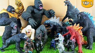 Khủng Long Đại Chiến Mùa 4 - Tập 1: King Kong Đối Đầu Godzilla Trong Đa Vũ Trụ