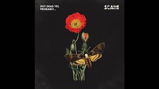 Scare - Black Chair