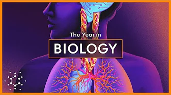 Biggest Breakthroughs in Biology and Neuroscience: 2024