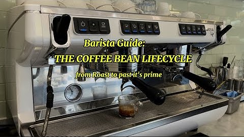 BARISTA-GIDS | DE LEVENSCYCLUS VAN DE KOFFIEBONEN