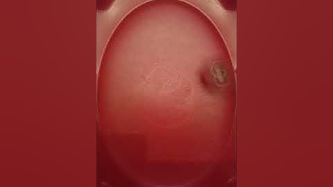 I Made A Prototype Of Red Savior Valkyrie