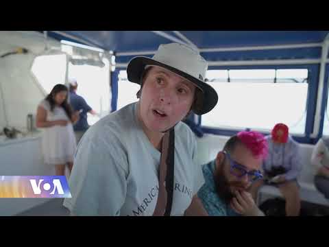 მანჰეტენთან ვეშაპები მომრავლდნენ