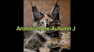 Animal in me - Autumn J (lyrics)