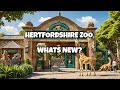 Hertfordshire zoo 2024 update