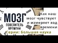 Мозг - повелитель времени. Как наш мозг чувствует и измеряет ход времени. Серии: Большая наука.