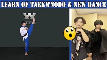 🥋Learn Of Taekwondo (Kick Teaching & Knee raise and legs) & Lin Qiunan New Dance 2021 ❤🔥