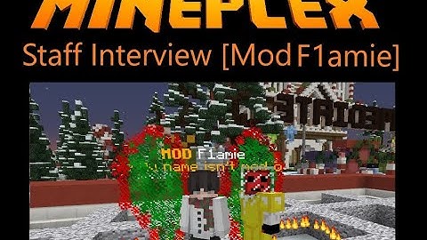 Mineplex Staff Interview [Mod F1amie]