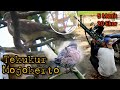 🔞 Siapapun pasti betah kalau cuma duduk sambil ngudud || Hunting pigeons