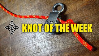 Overhand Knot: Knot of the Week - Step-by-Step Tutorial for Beginners