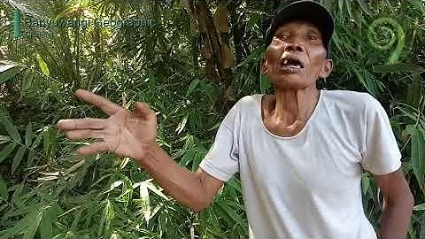 Ada Batu Yoni Jadi Rumah Siluman || Sering Terdengar Suara Gamelan (Angkernya Desa Penari?)