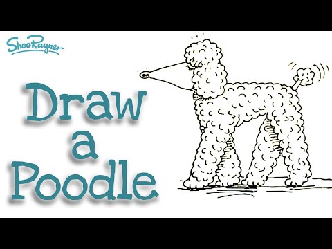 How to draw a poodle - Shoo Rayner Drawing School