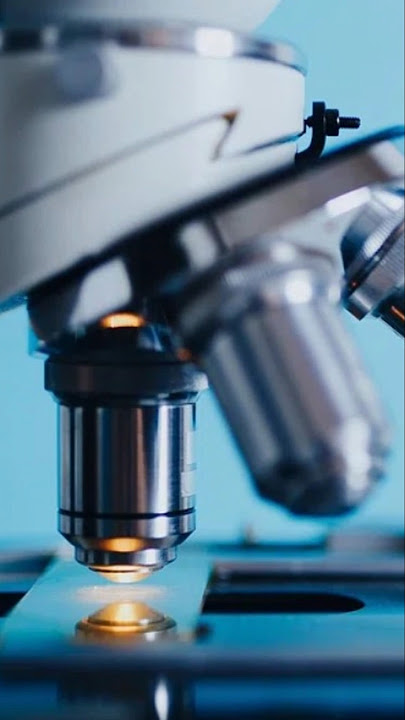New vs. Used Razor Blade: Microscope Shows the Truth!