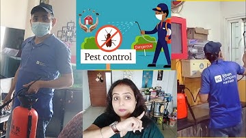 Effective Pest Control At Home | Urban Clap |