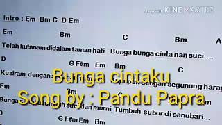 Bunga cintaku song by : Pandu Papra