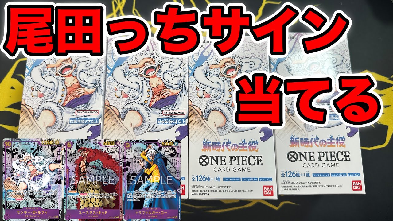 ONE PIECE  新時代の王役  3BOX