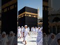 ya Rab Mustafa to mujha Haj pa Bula#youtubeshorts#islamicvideo