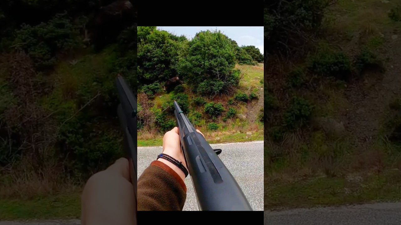 охота на большого кабана или охота на майскую жизнь