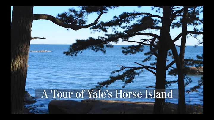 A tour of Yale's Horse Island | Yale Daily News