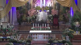 5 AM Spanish Easter Resurrection Mass — Sunday, April 5, 2026
