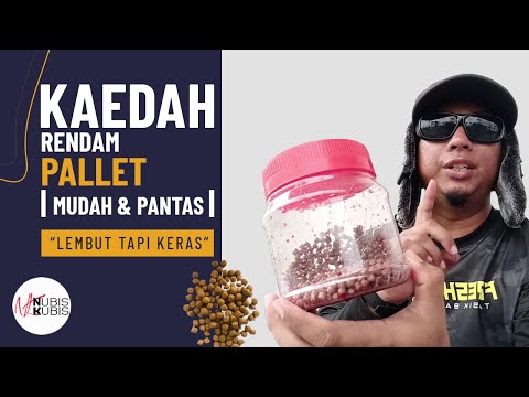 Video: Palet mata kasar yang mana?