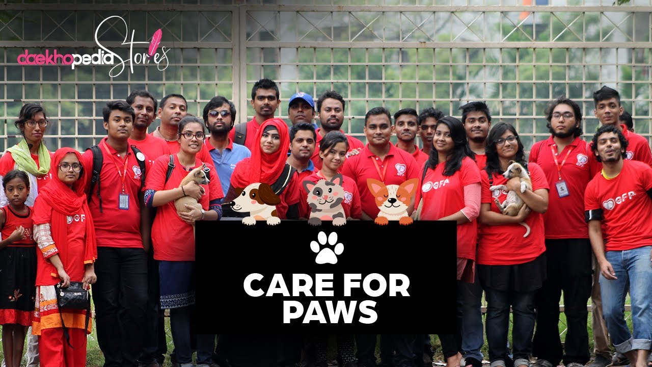 Daekhopedia Stories Episode 67 Care For Paws YouTube
