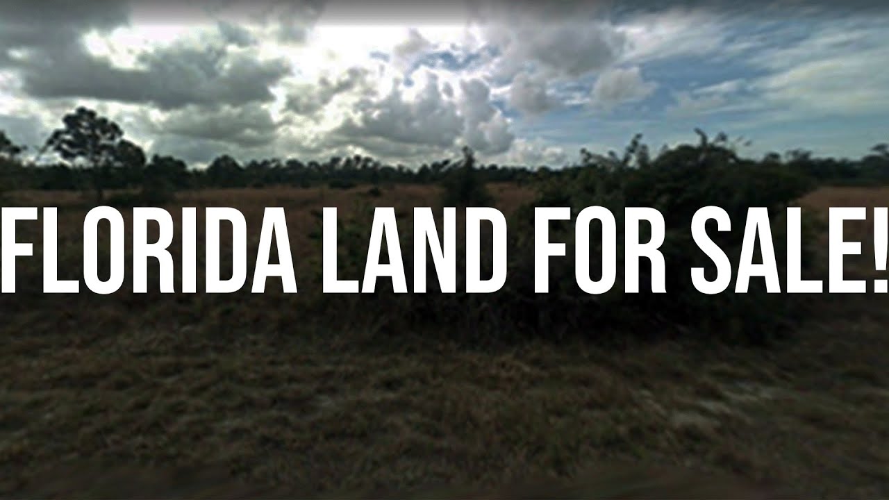 Florida Land for Sale Owner Financed! YouTube