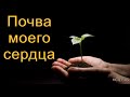 "Почва моего сердца". Ф. Мамиев. МСЦ ЕХБ.