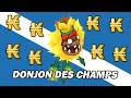 Combien de kamas en farmant en boucle le Donjon des champs sur Dofus 3.0?