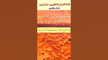 تلاوة عطرة من سورة فاطر  يملأها الخشوع