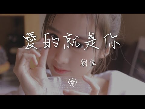 劉佳 - 愛的就是你『可愛女孩 天上星星我爲你摘』【動態歌詞Lyrics】