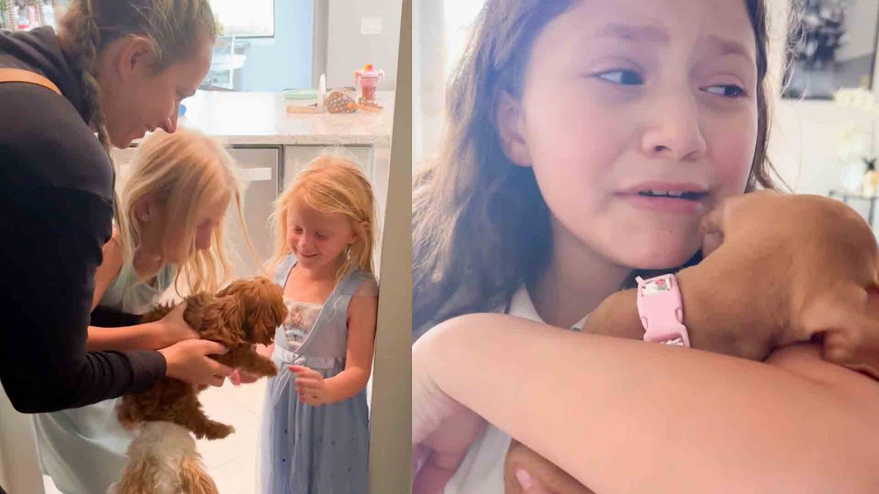 Heartwarming Puppy Surprises | Best Family Reactions Ever! - YouTube