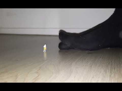 Stomping on Tiny Intruders