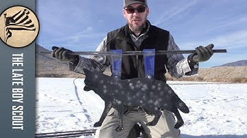 Shoot it Forever...? Action Target PT Gong Update