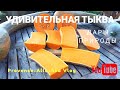 Франция/УРОЖАЙНЫЙ ОКТЯБРЬ/А ТЫ ВИДЕЛ ТАКУЮ ТЫКВУ? /provence_allochka