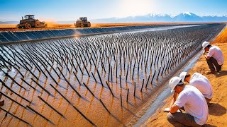China Buried Tons Of Plants In Desert...10 Years Later, Result is INSANE