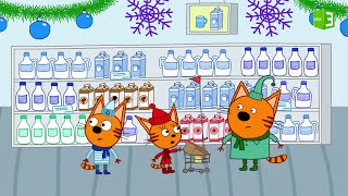 القطط الصغار في المتجر