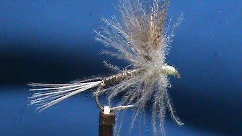 Fly Tying a CDC Quill Gordon with Jim Misiura