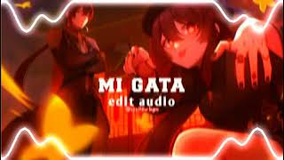 Mi Gata Edit Audio