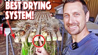 You MUST Do This! Improved Superior Onion Drying Rack Build!