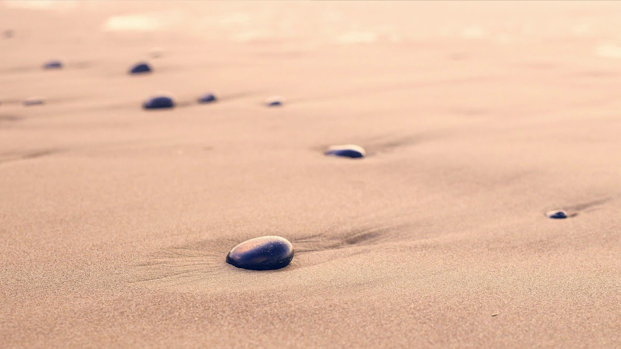 January 13, 2021 Meditation with Avi Magidoff