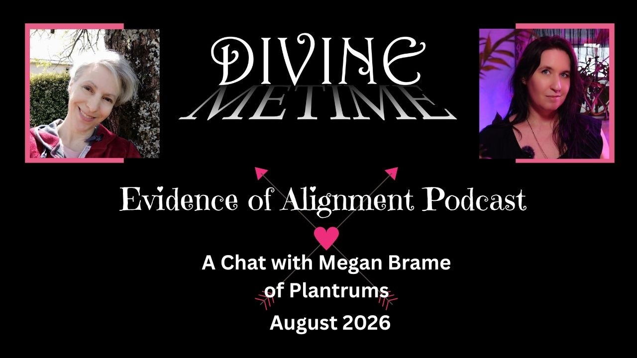 Evidence of Alignment (Ep. 4) || with Megan Brame of Plantrums || Divine Me Time
