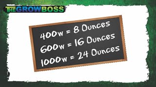 GROW BOSS AND GRAND MASTER LEVEL INTERVIEW - DISCUSSING LIGHT DISTANCE - MUST SEE TO BELIEVE