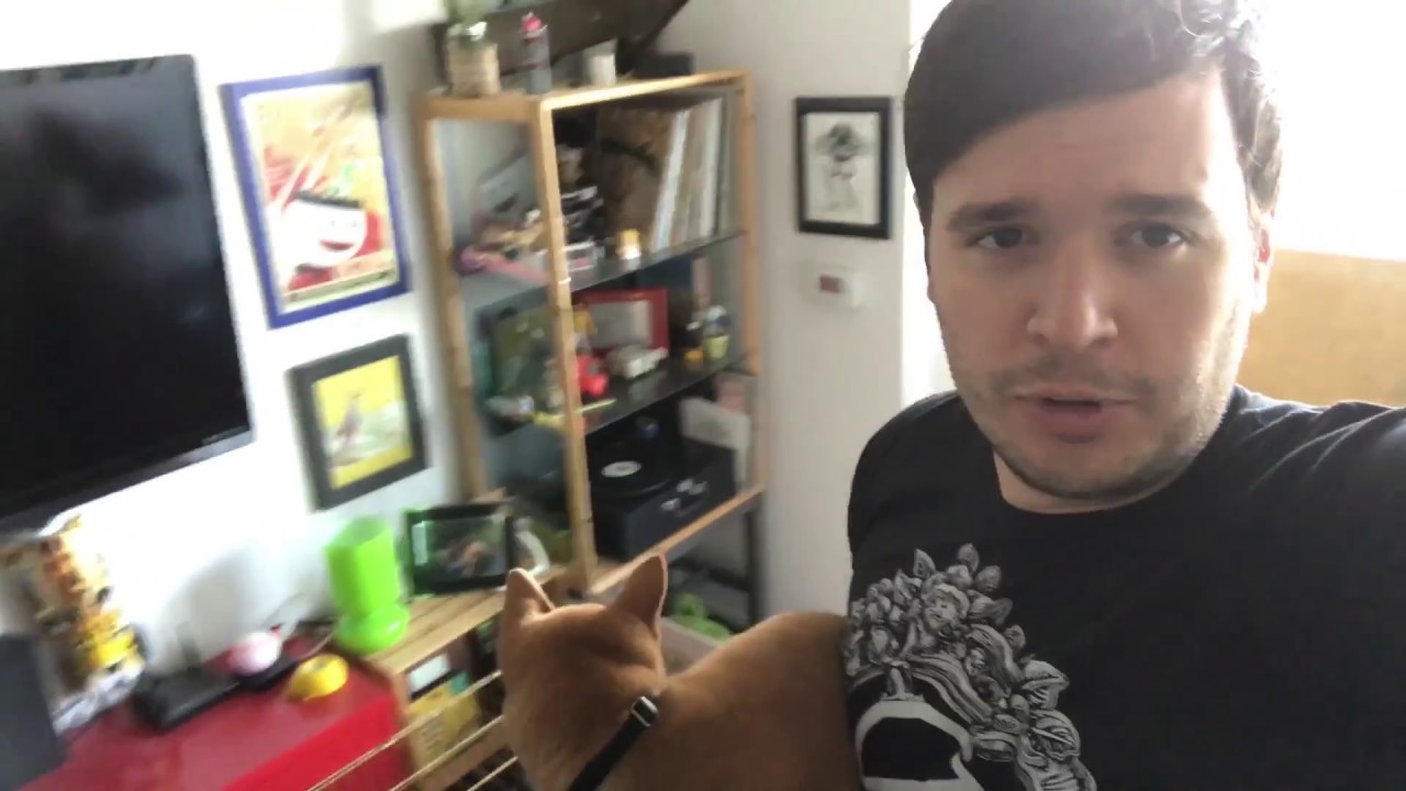 Practical Philosophy With Mac The Shiba Puppy: don't try to manage the unmanageable