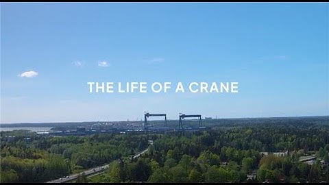 Life of a crane: from idea to impact.