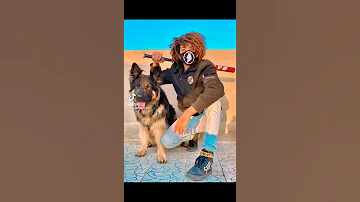 صور عمر شاور مع كلابه كل كلاب عمر شاور 